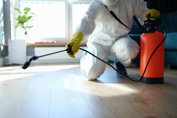 Reliable Blood Cleanup contractor in Cambria, CA by Trauma Clean Pros